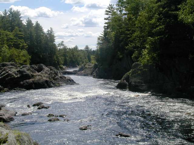 Images/upriver at heaters.jpg